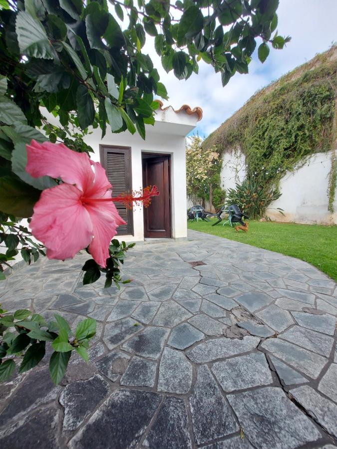 Coya Hostel Σάλτα Εξωτερικό φωτογραφία